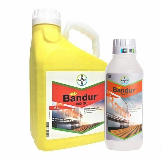 bandurwszystkie