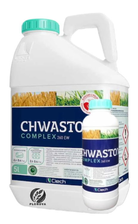 complex5l-fotor-20250206215955