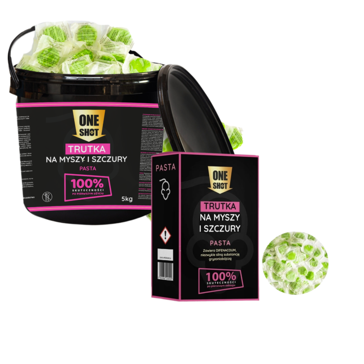 fotor-20241119214659