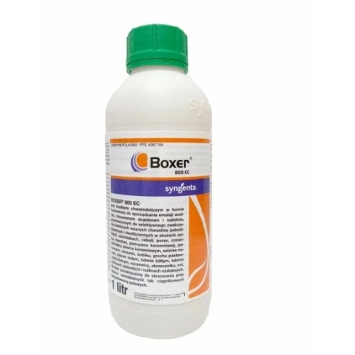 BOXER 800 EC