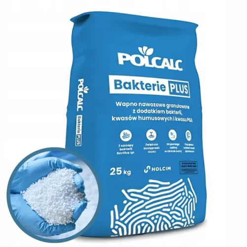 bakterie.png