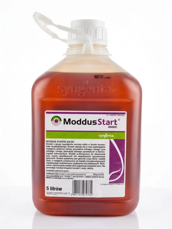 start.jpg