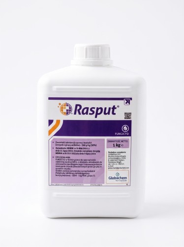 rasput1.jpg