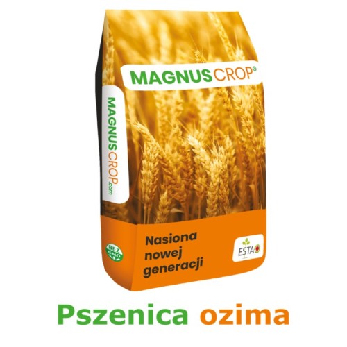 Pszenica ozima Euforia – kwalifikowany materiał siewny KLC, worek 25 kg / big-bag 500 kg
