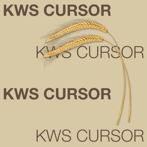 zyto-hybrydowe-kws-cursor-f1.jpg