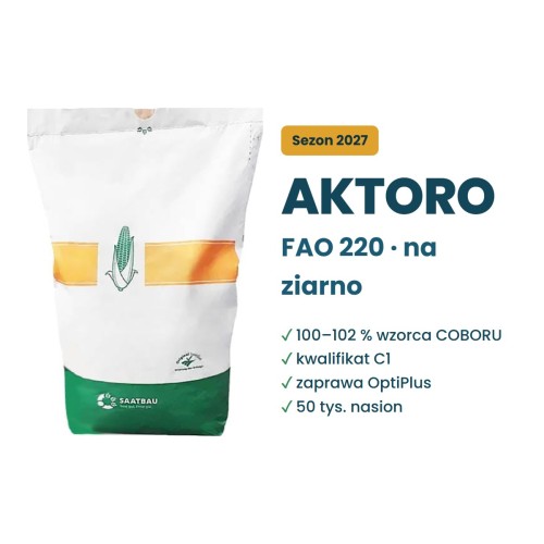 Kukurydza Aktoro FAO 220 Saatbau – 100–102 % wzorca COBORU, kwalifikat C1, 50 tys. nasion