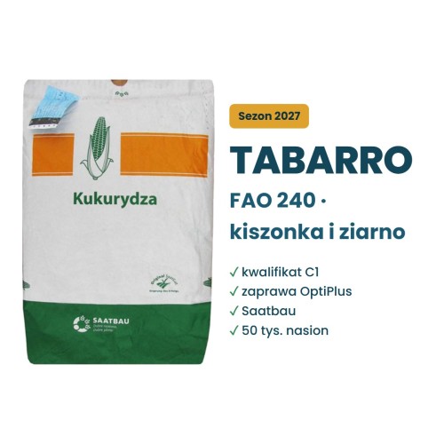 Kukurydza Tabarro FAO 240 Saatbau – kiszonka i ziarno, kwalifikat C1, 50 tys. nasion