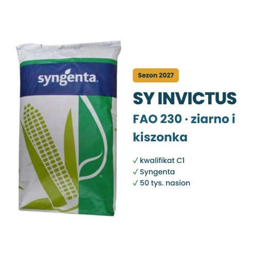 Kukurydza SY Invictus FAO 230 Syngenta – kwalifikat C1, 50 tys. nasion