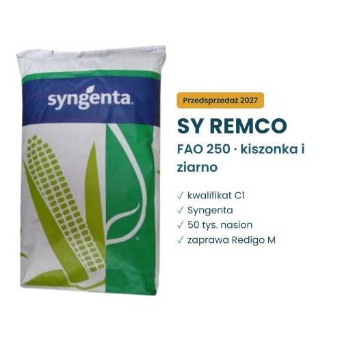 Kukurydza SY Remco FAO 250 Syngenta – worek 50 tys. nasion, kwalifikat C1
