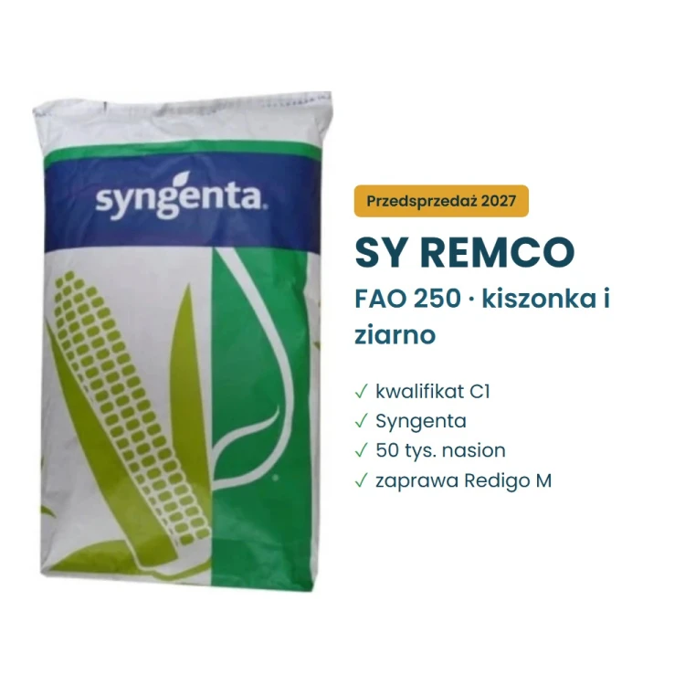 Kukurydza SY Remco FAO 250 Syngenta – worek 50 tys. nasion, kwalifikat C1