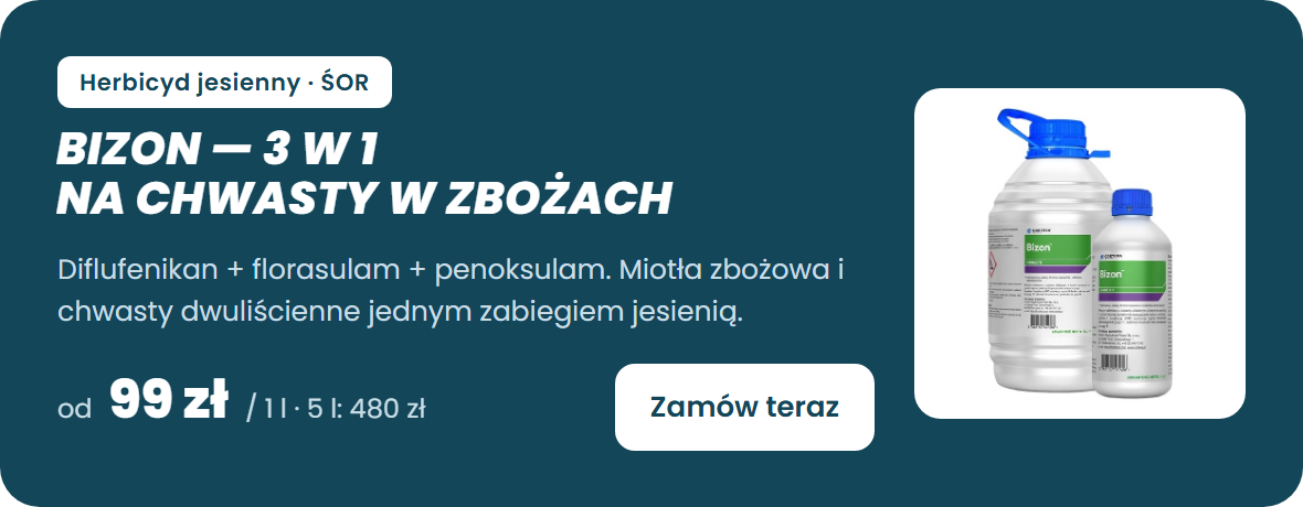 Bizon – herbicyd jesienny 3 w 1 do zbóż (diflufenikan, florasulam, penoksulam) – zamów teraz