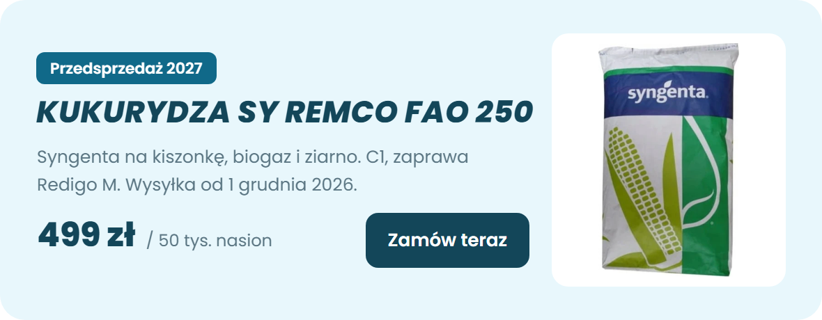 Kukurydza SY Remco FAO 250 Syngenta – nasiona 50 tys., przedsprzedaż 2027 – zamów teraz